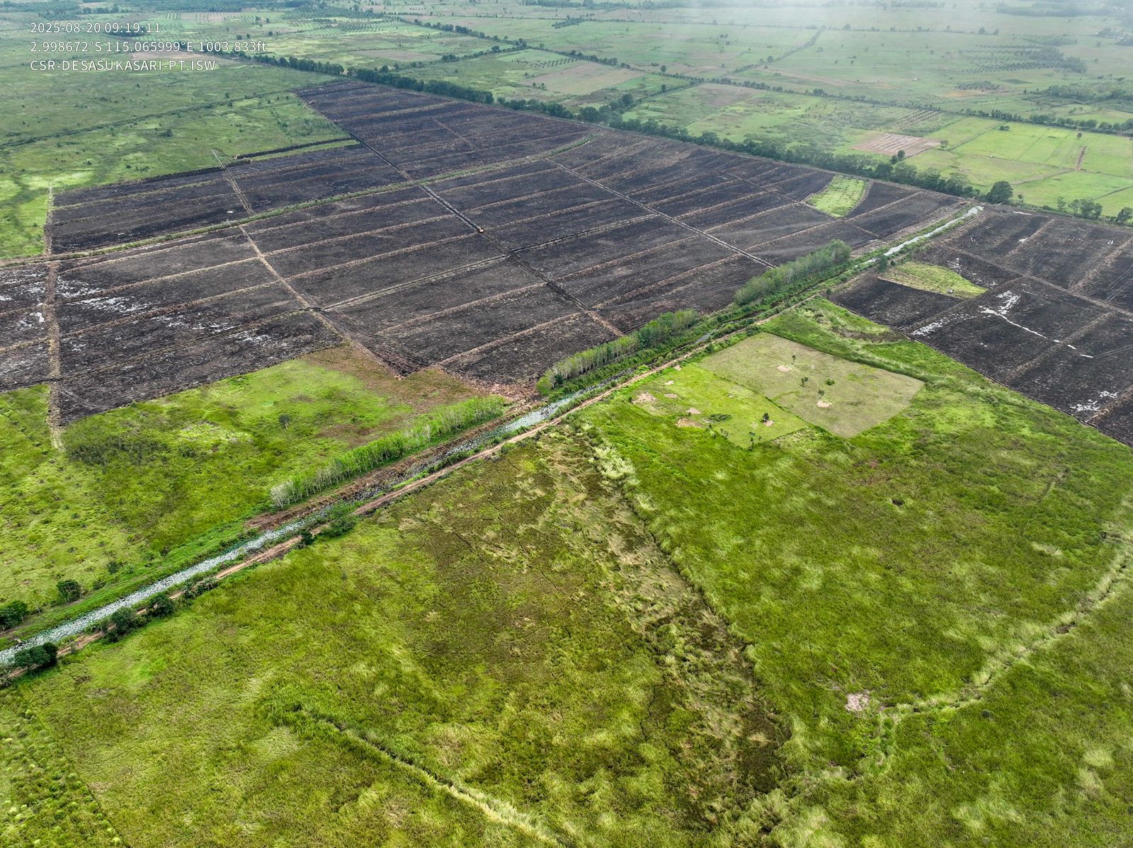 Land Clearing 4